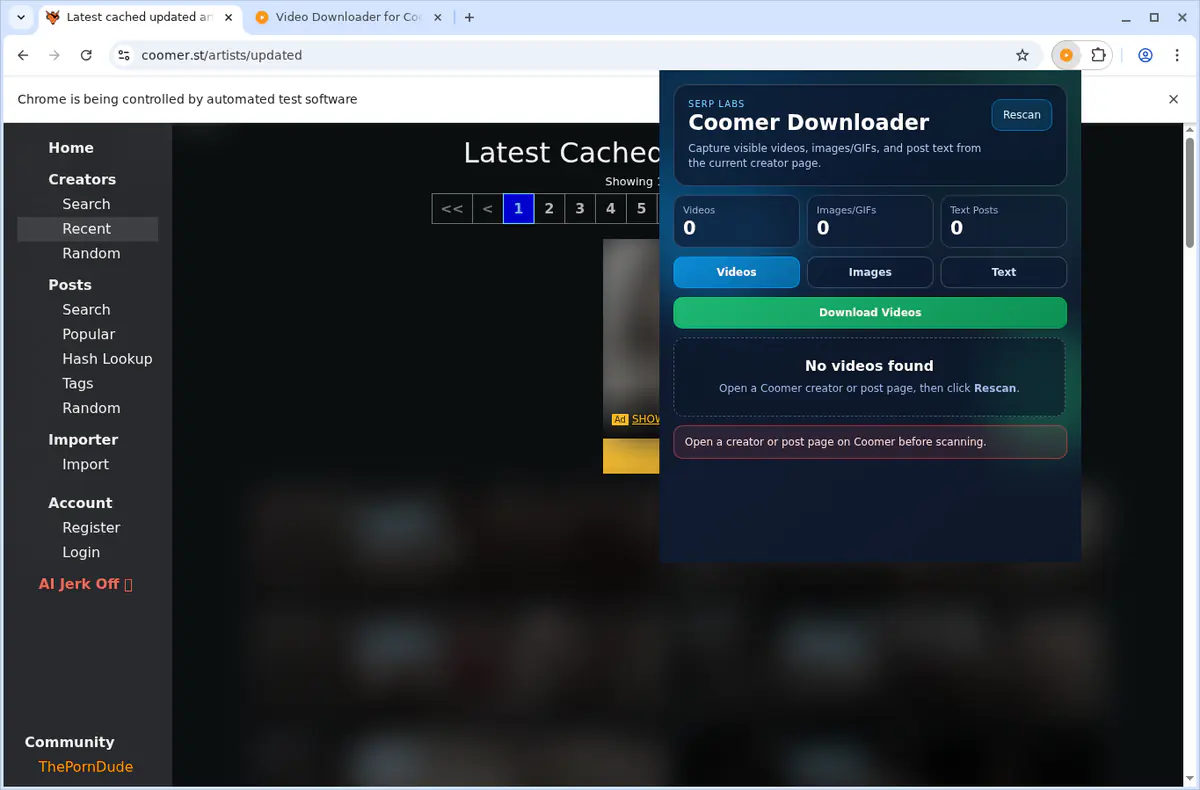 Coomer Video Downloader screenshot 4