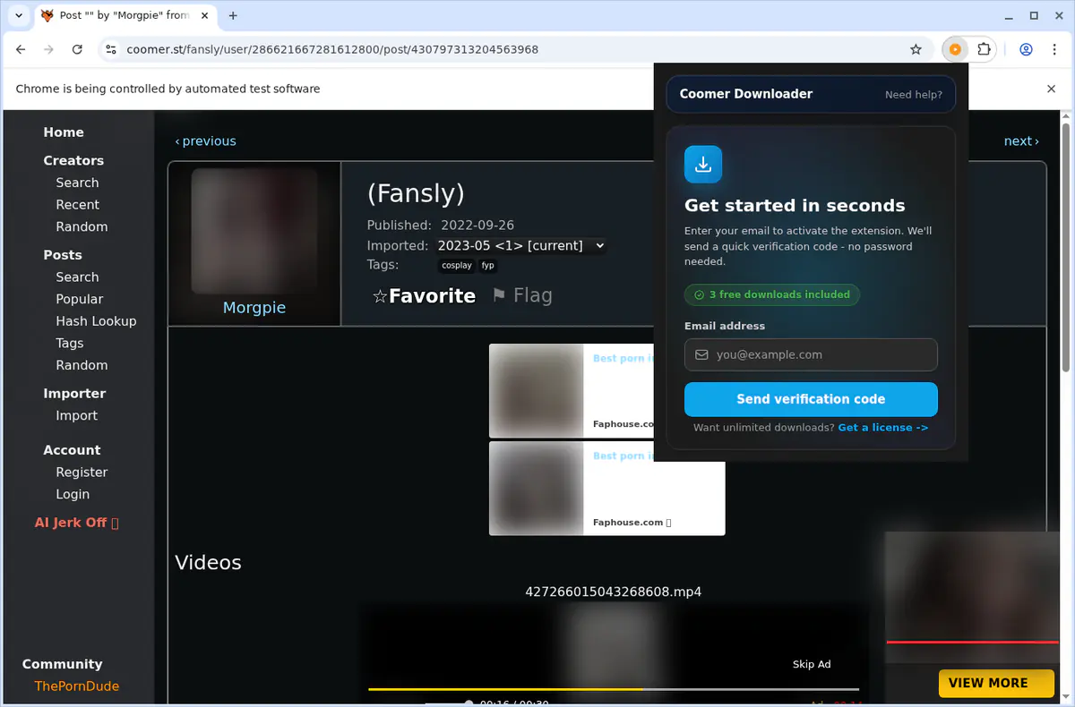 Coomer Video Downloader screenshot 6